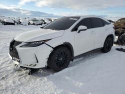 Salvage cars for sale at Helena, MT auction: 2020 Lexus RX 350