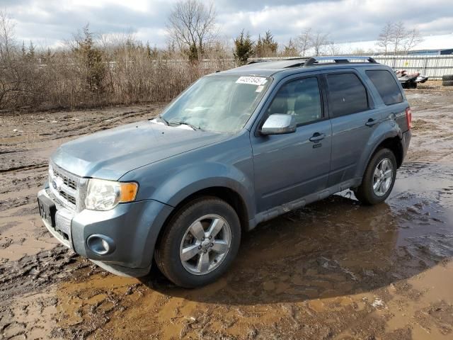 2012 Ford Escape Limited