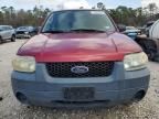 2007 Ford Escape XLS