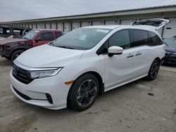 2024 Honda Odyssey Elite en venta en Louisville, KY