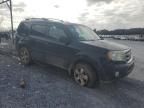 2009 Honda Pilot EXL