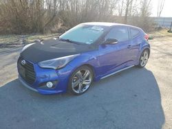 Salvage cars for sale at Arlington, WA auction: 2013 Hyundai Veloster Turbo