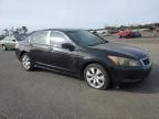 2009 Honda Accord EX