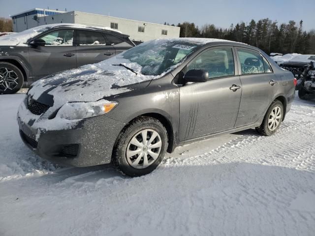 2010 Toyota Corolla Base