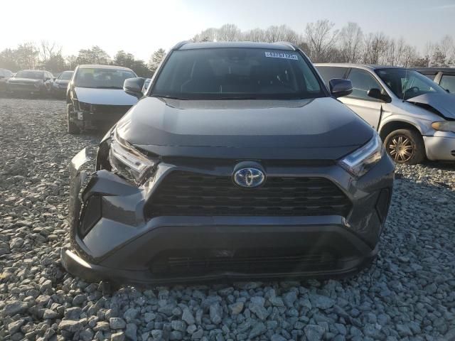 2024 Toyota Rav4 XLE