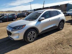 Salvage cars for sale at Colorado Springs, CO auction: 2020 Ford Escape SEL