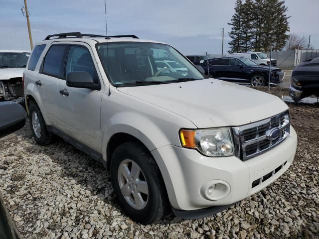 2009 Ford Escape XLT