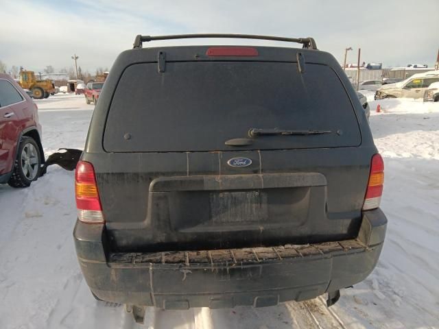 2005 Ford Escape XLT