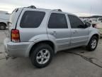 2005 Ford Escape Limited