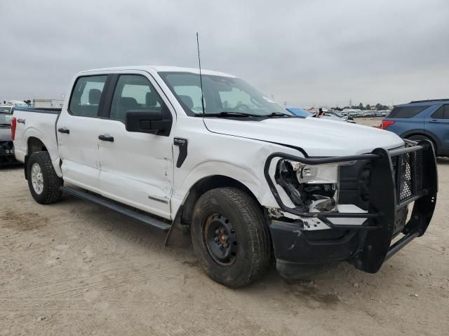 2021 Ford F150 Supercrew