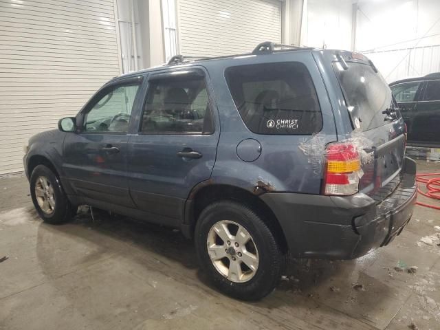 2005 Ford Escape XLT