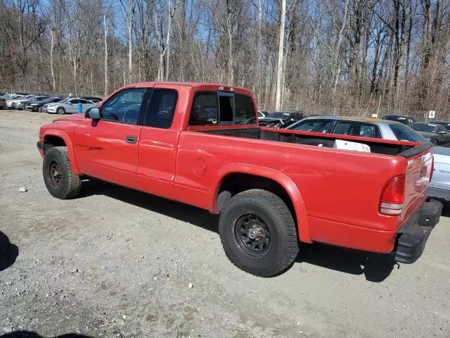 2000 Dodge Dakota