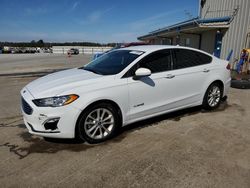 Salvage cars for sale at Memphis, TN auction: 2019 Ford Fusion SE