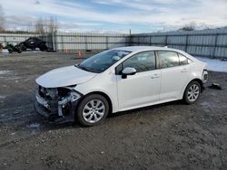 Salvage cars for sale at Arlington, WA auction: 2021 Toyota Corolla LE