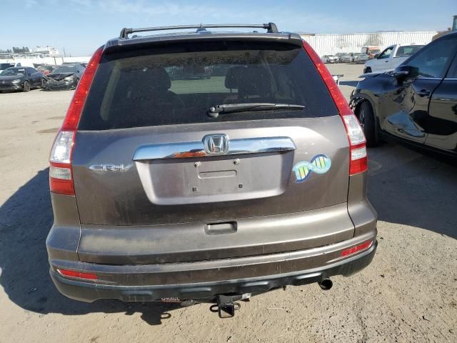 2010 Honda CR-V EXL