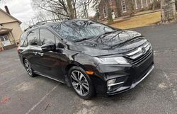 Salvage cars for sale at Glassboro, NJ auction: 2018 Honda Odyssey Elite