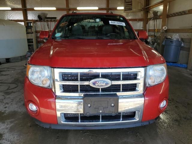 2010 Ford Escape Limited