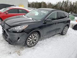 Salvage cars for sale from Copart Cookstown, ON: 2020 Ford Escape Titanium