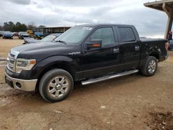 2014 Ford F150 Supercrew en venta en Tanner, AL