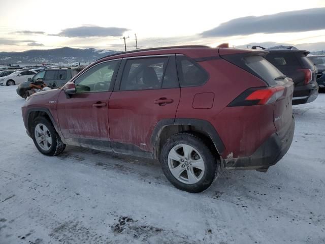 2019 Toyota Rav4 XLE