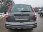 2010 Honda CR-V LX