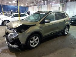 Clean Title Cars for sale at auction: 2014 Ford Escape SE