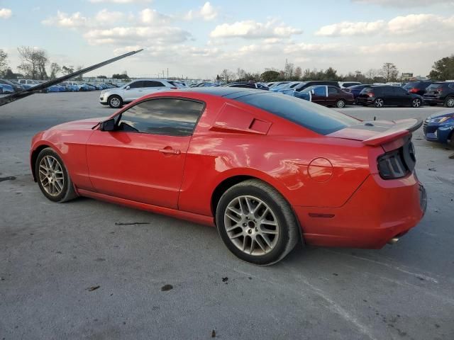 2013 Ford Mustang