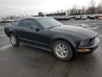 2006 Ford Mustang