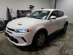 Dodge salvage cars for sale: 2024 Dodge Hornet R/T