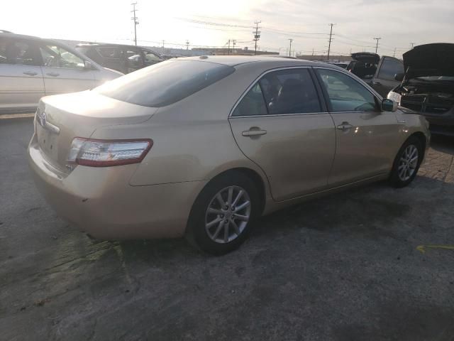 2010 Toyota Camry Hybrid