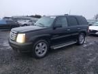 2005 Cadillac Escalade Luxury