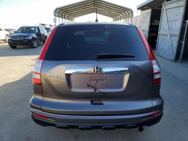 2010 Honda CR-V EX