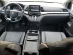 2024 Honda Odyssey EXL