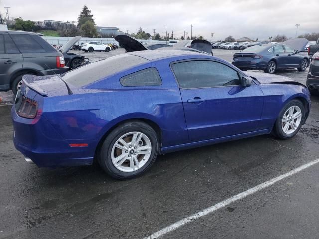 2013 Ford Mustang