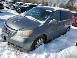 Honda Odyssey exl salvage cars for sale: 2008 Honda Odyssey EXL