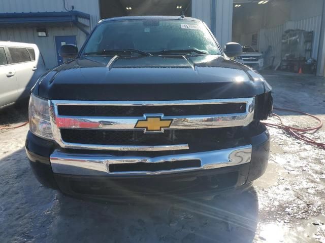 2010 Chevrolet Silverado K1500 LS