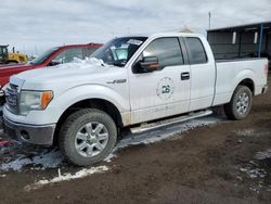 Salvage trucks for sale at Brighton, CO auction: 2014 Ford F150 Super Cab