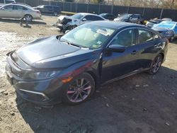 Honda salvage cars for sale: 2019 Honda Civic EXL