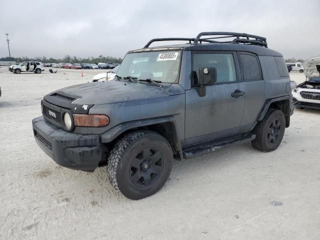 2007 Toyota FJ Cruiser