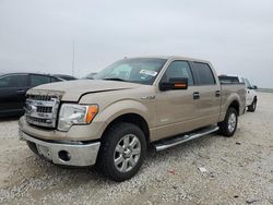 2014 Ford F150 Supercrew en venta en Taylor, TX