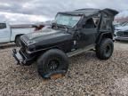 2002 Jeep Wrangler / TJ X