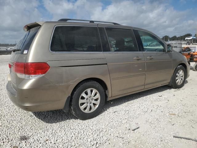 2008 Honda Odyssey EXL