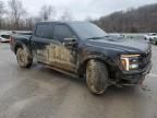 2024 Ford F150 Raptor