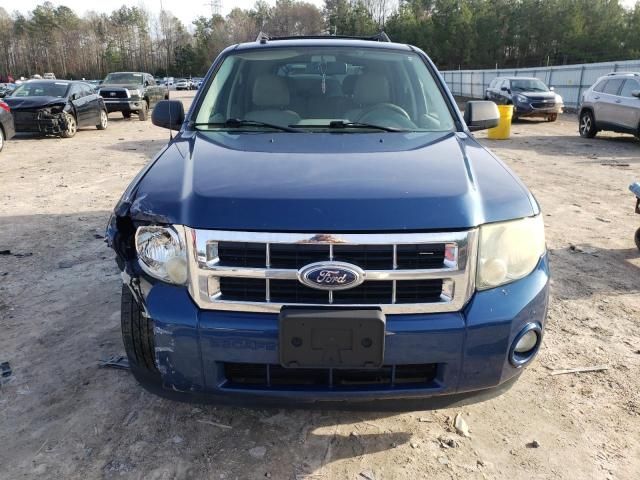 2008 Ford Escape XLT