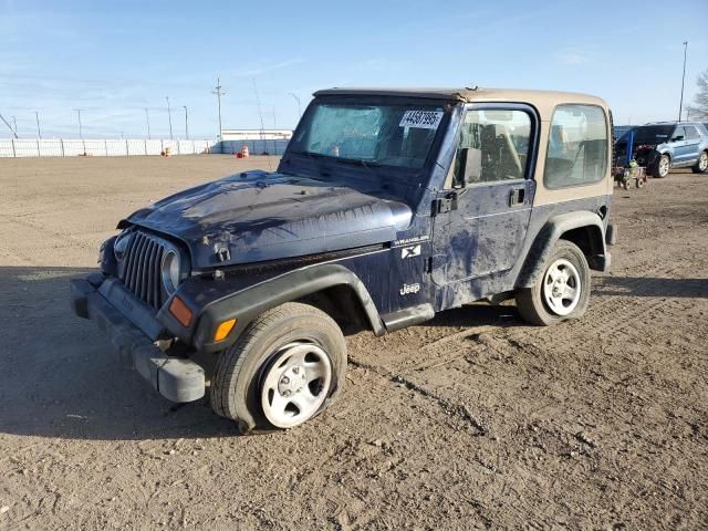 2002 Jeep Wrangler / TJ X