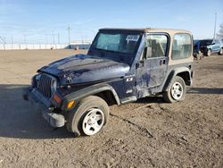 Salvage cars for sale at Greenwood, NE auction: 2002 Jeep Wrangler / TJ X