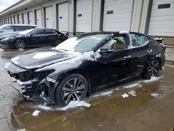 Salvage cars for sale at Louisville, KY auction: 2021 Nissan Maxima SV