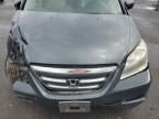 2005 Honda Odyssey EXL