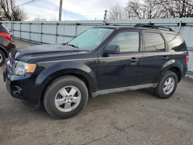 2009 Ford Escape XLT