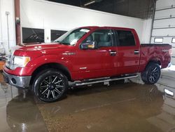 Vehiculos salvage en venta de Copart Blaine, MN: 2014 Ford F150 Supercrew